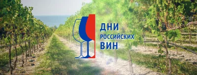 Дни российских вин приглашают областных предпринимателей